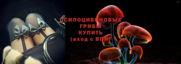 наркотики Новозыбков